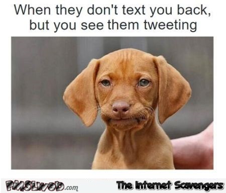 When they don�t text you back dog humor @PMSLweb.com