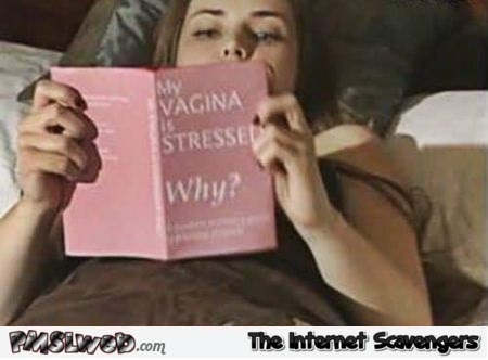 Funny my vagina is stressed book – Sarcastic and naughty humor @PMSLweb.com