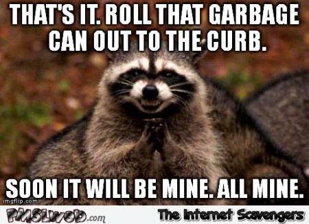 Funny plotting raccoon meme @PMSLweb.com
