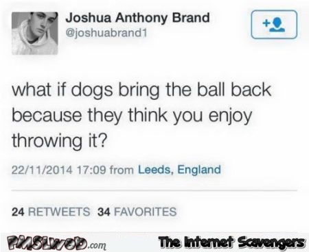 What if dogs bring the ball back funny tweet @PMSLweb.com