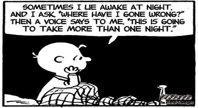 Sometimes I lie awake at night funny Charlie Brown cartoon
