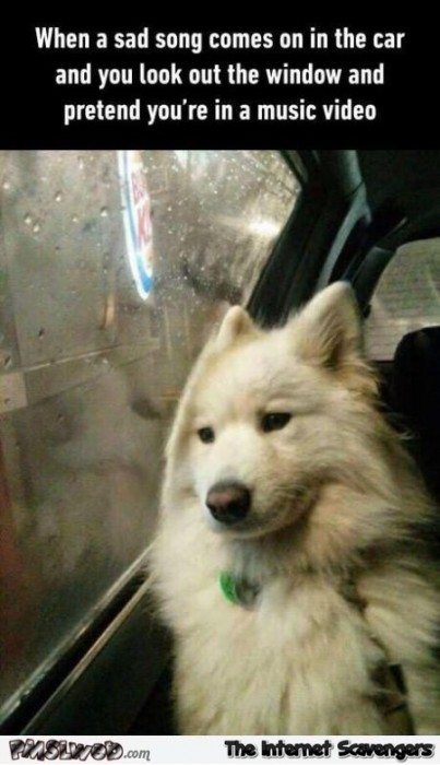 When a sad song comes on in the car humor