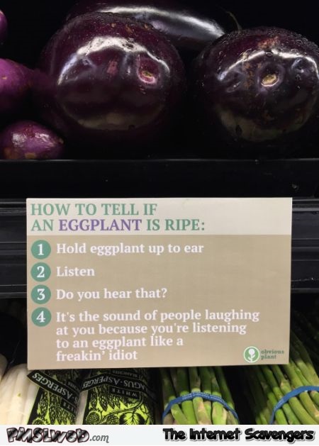 How to tell if an eggplant is ripe humor @PMSLweb.com