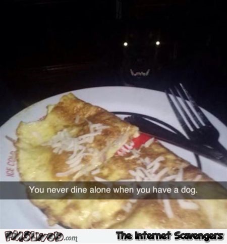You never dine alone when you have a dog humor