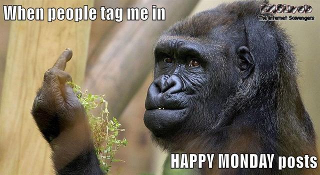 When people tag me in Happy Monday posts meme