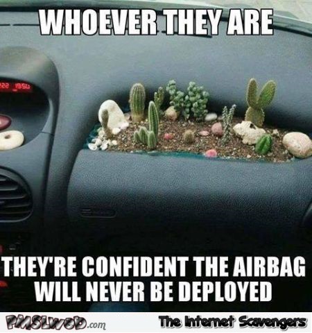 Funny cactus airbag fail @PMSLweb.com