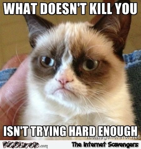 What doesn’t kill you Grumpy cat meme @PMSLweb.com