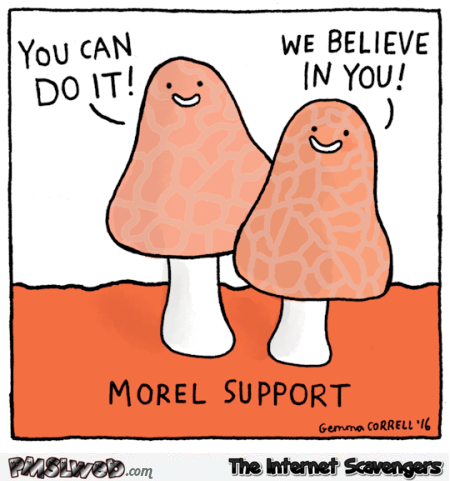 Morel support funny cartoon