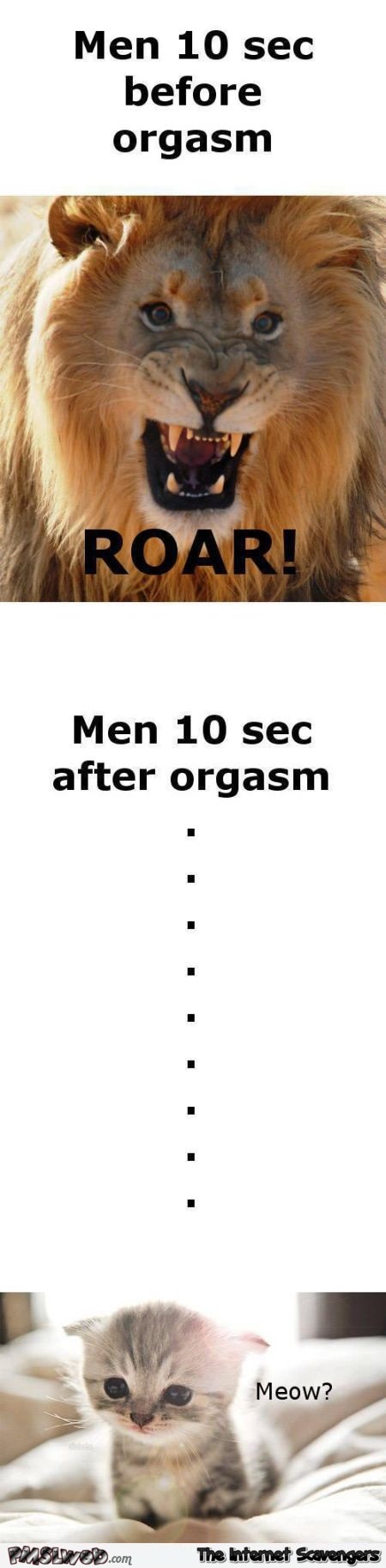 Funny men before vs after orgasm @PMSLweb.com