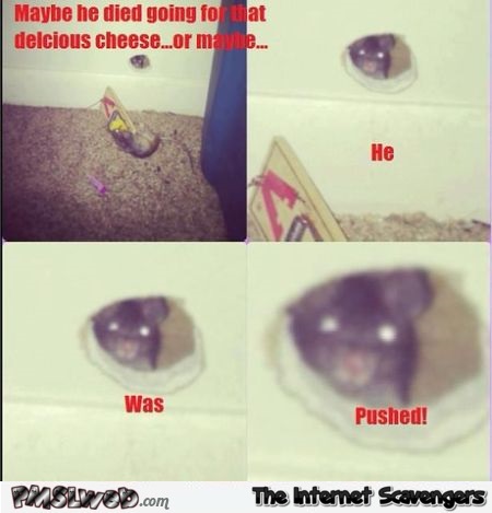 Why did the mouse die meme @PMSLweb.com