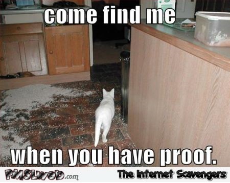 You don’t have proof funny cat meme @PMSLweb.com