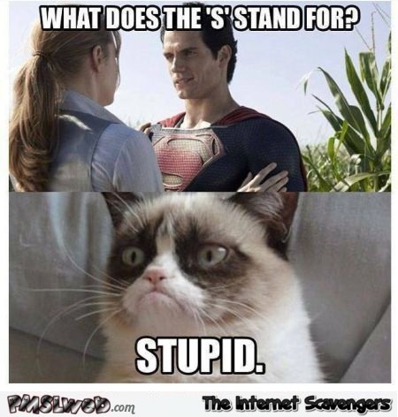 Funny grumpy cat Superman meme @PMSLweb.com
