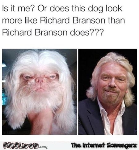 Dog looks like Richard Branson humor @PMSLwweb.com