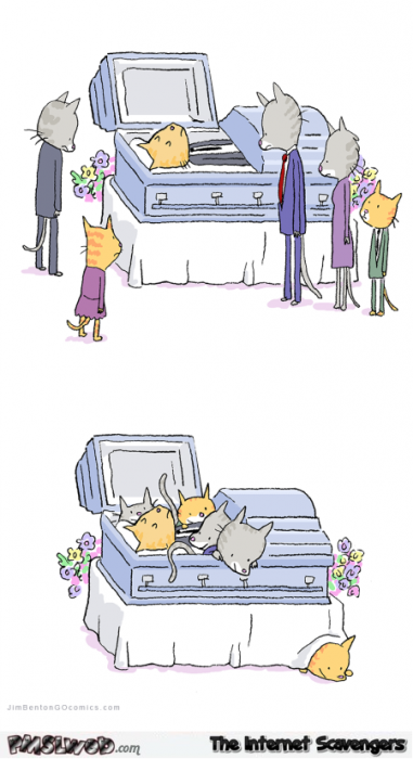 Cat funeral funny cartoon