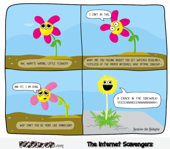Be like dandelion funny cartoon @PMSLweb.com