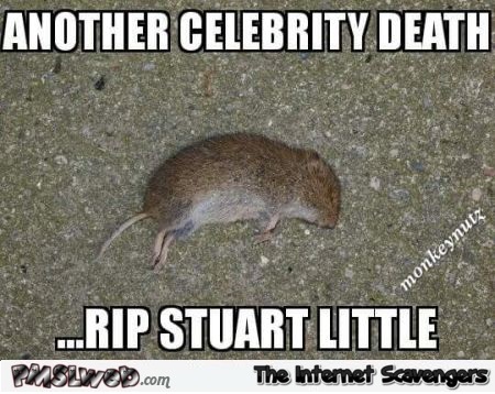 RIP Stuart little meme @PMSLweb.com
