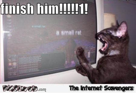 Finish him funny cat meme @PMSLweb.com
