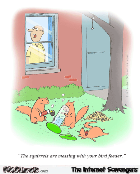 Squirrels are doing drugs funny cartoon @PMSLweb.com