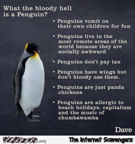 What the bloody hell is a penguin humor @PMSLweb.com