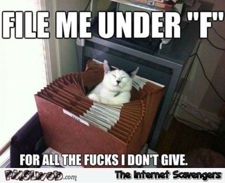 File me under F cat meme – Funny cats @PMSLweb.com