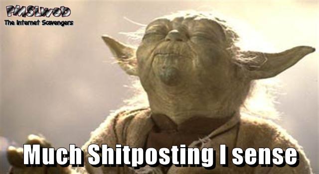 Much shitposting I sense Yoda meme @PMSLweb.com