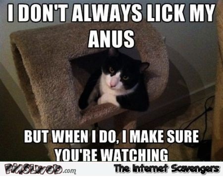 I don’t always lick my anus cat meme @PMSLweb.com