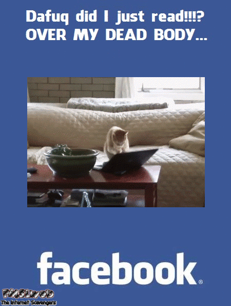Shitposting on facebook humor @PMSLweb.com