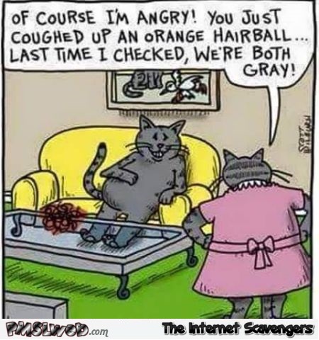 Cheating cat funny cartoon @PMSLweb.com