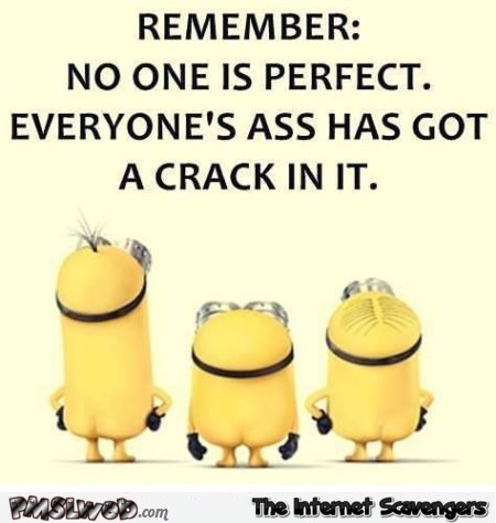 Remember no one is perfect funny quote @PMSLweb.com