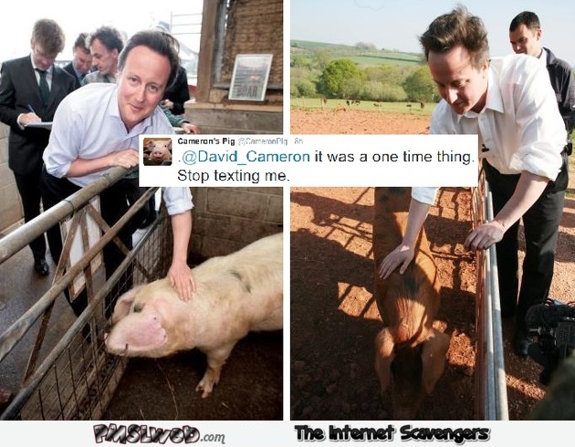 David Cameron pig scandal joke @PMSLweb.com