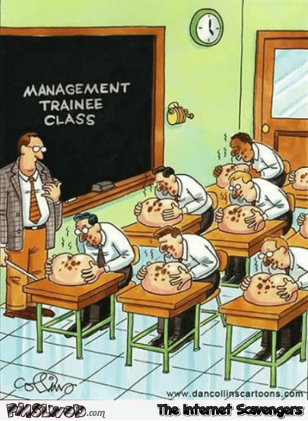 Management trainee class funny cartoon @PMSLweb.com