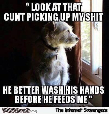 sarcastic dog meme @PMSLweb.com