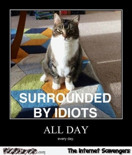 Funny sarcastic cat demotivational @PMSLweb.com