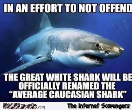 Average Caucasian shark meme @PMSLweb.com