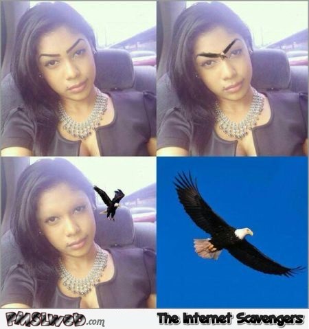 Funny eagle eyebrows @PMSLweb.com