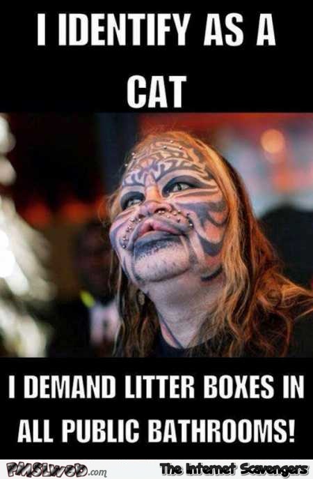 I identify as a cat funny meme @PMSLweb.com