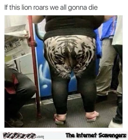 If this lion roars we’re all gonna die humor @PMSLweb.com
