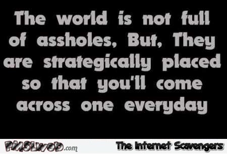 The world is not full of assholes sarcastic quote @PMSLweb.com