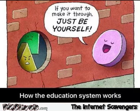 How the education system works funny cartoon @PMSLweb.com