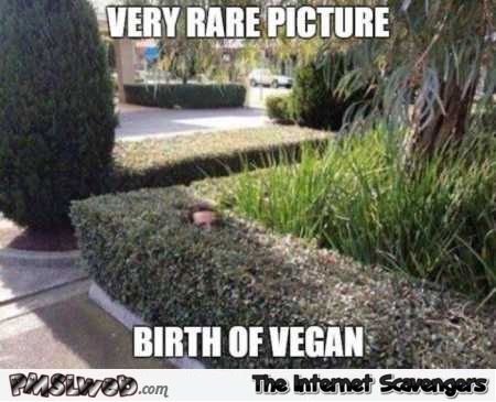 Funny birth of a vegan meme @PMSLweb.com