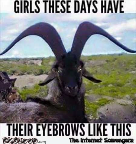 Girls eyebrows these days funny meme – Wacko Wednesday @PMSLweb.com