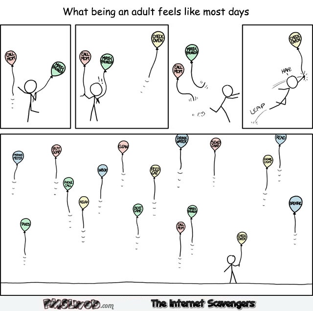 What being an adult feels like funny cartoon – TGIF funny pics @PMSLweb.com