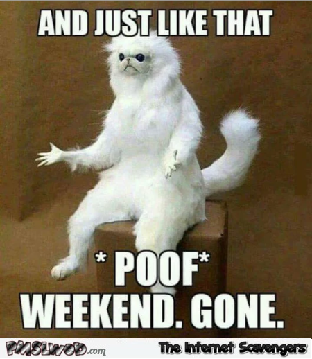 And just like that weekend gone meme @PMSLweb.com