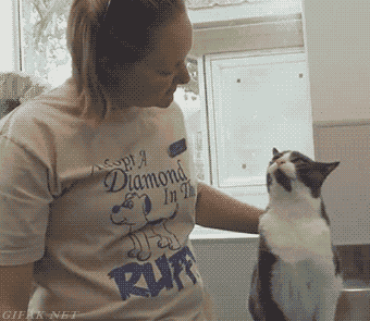 Cat gives back massage humor @PMSLweb.com