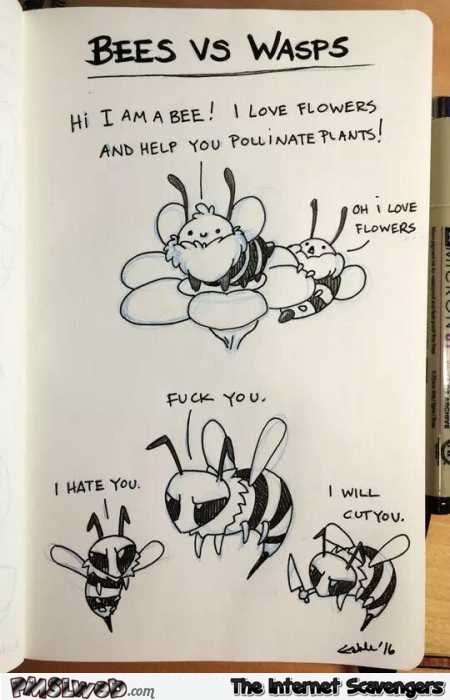 Funny bees versus wasps @PMSLweb.com