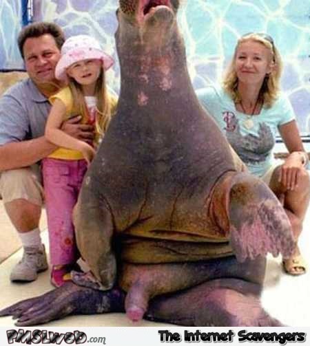 Family photo walrus boner funny fail @PMSLweb.com