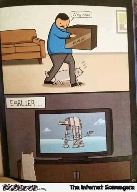 Cat plan inspired by Star Wars funny cartoon @PMSLweb.com
