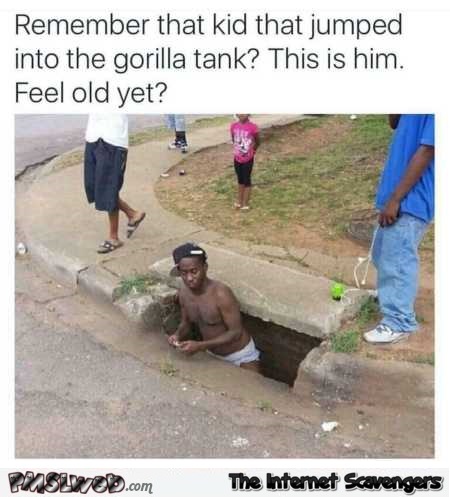 Remember the kid who fell in the gorilla tank humor @PMSLweb.com