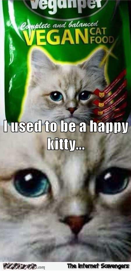 Vegan cat food funny meme – Nutcase Monday @PMSLweb.com