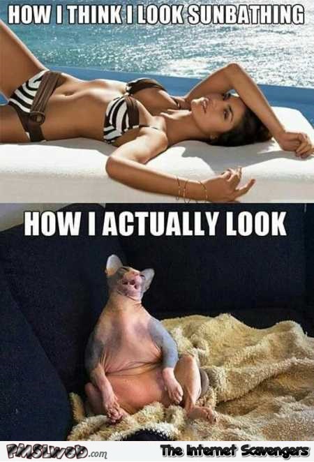 Sunbathing expectations versus reality meme – Funny Sunday picture collection @PMSLweb.com